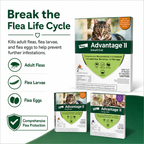 Advantage II for CatAnti Fleas & Ear Mites Eggs Larvae Treatment Supply 1dose/no Box - ChatGPT Image 2026年5月19日 14_07_54 (2).png