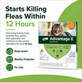< 4kg - CWL-CAT-SDOG1PCS