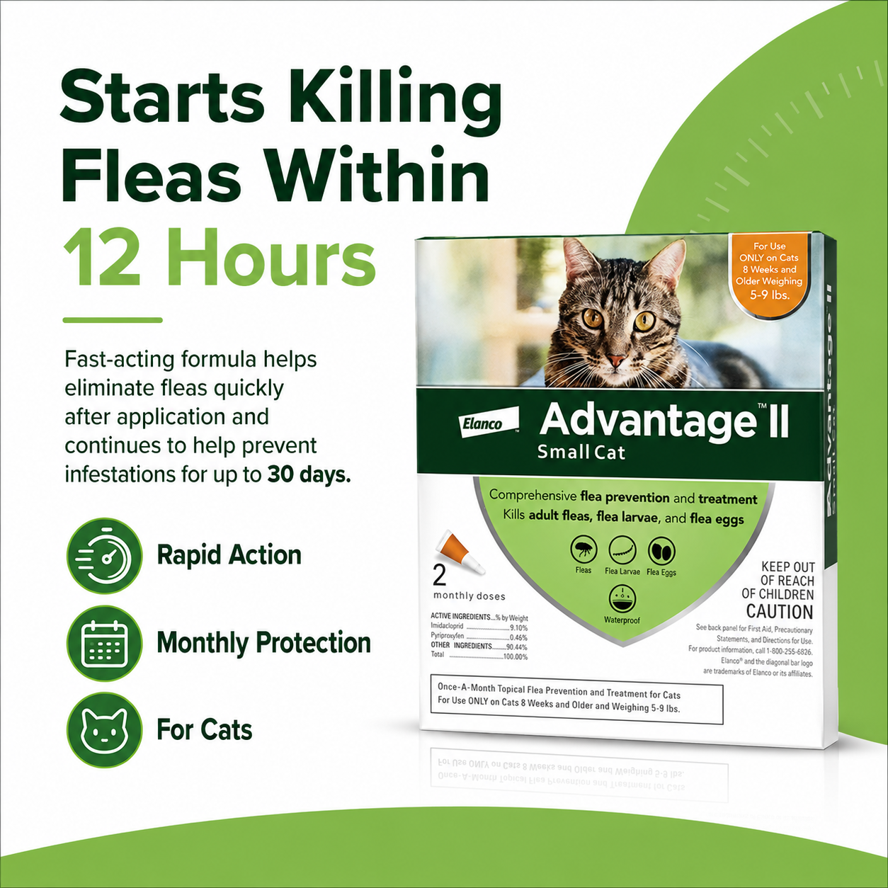< 4kg - CWL-CAT-SDOG1PCS