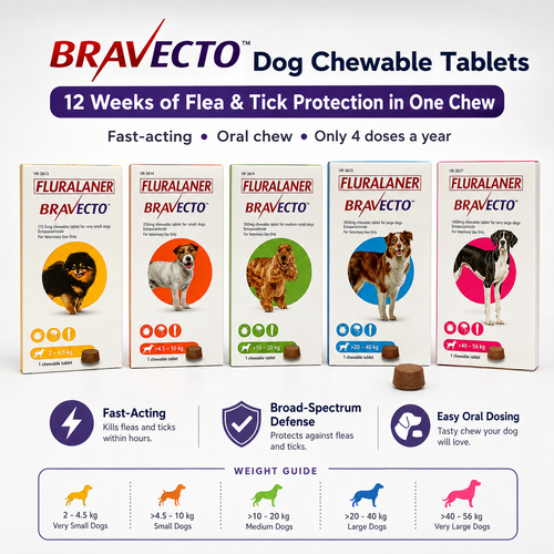 BRAVECTO Chews for Dogs | Kills Fleas & Ticks Fast | Up to 3 Months of Protection - ChatGPT Image 2026年5月19日 14_10_05 (1).png
