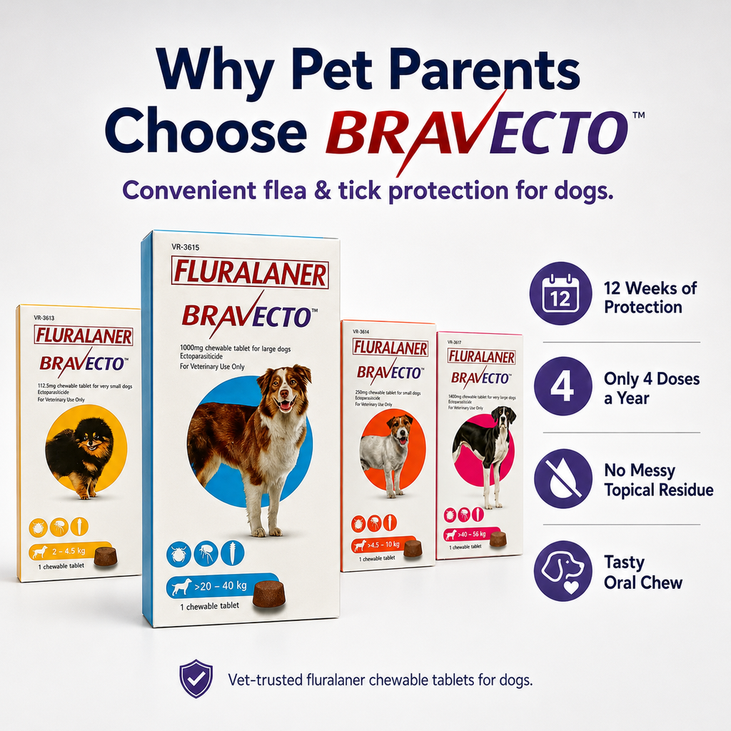 BRAVECTO Chews for Dogs | Kills Fleas & Ticks Fast | Up to 3 Months of Protection - ChatGPT Image 2026年5月19日 14_10_05 (2).png