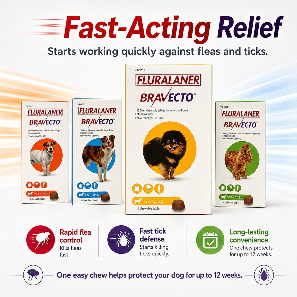 BRAVECTO Chews for Dogs | Kills Fleas & Ticks Fast | Up to 3 Months of Protection - ChatGPT Image 2026年5月19日 14_10_05 (3).png