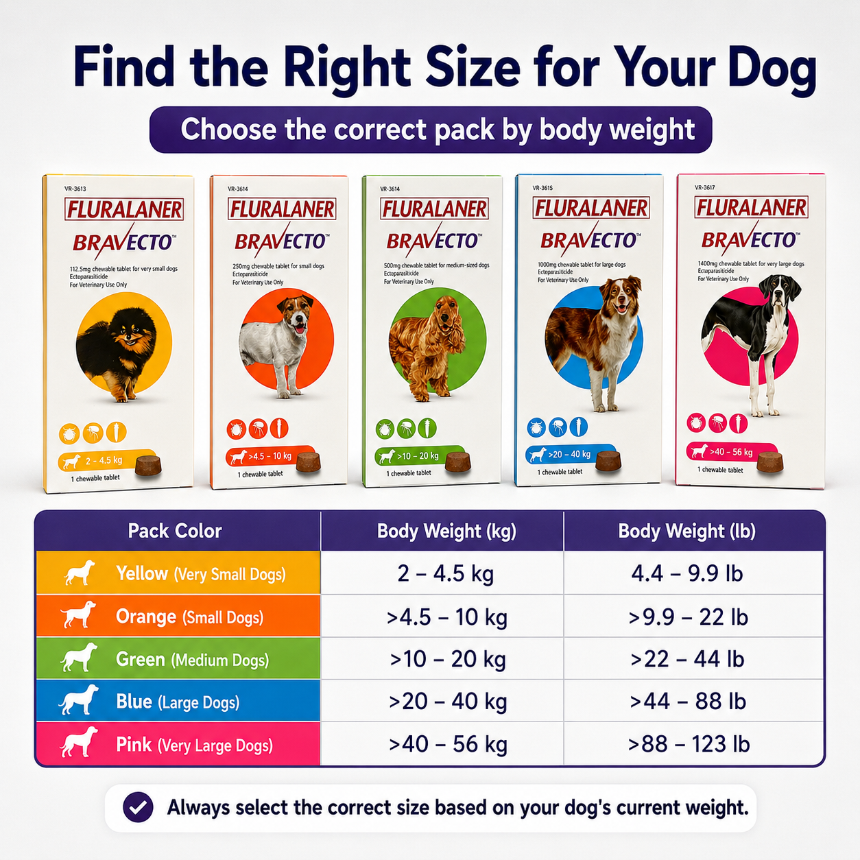 BRAVECTO Chews for Dogs | Kills Fleas & Ticks Fast | Up to 3 Months of Protection - ChatGPT Image 2026年5月19日 14_10_06 (6).png