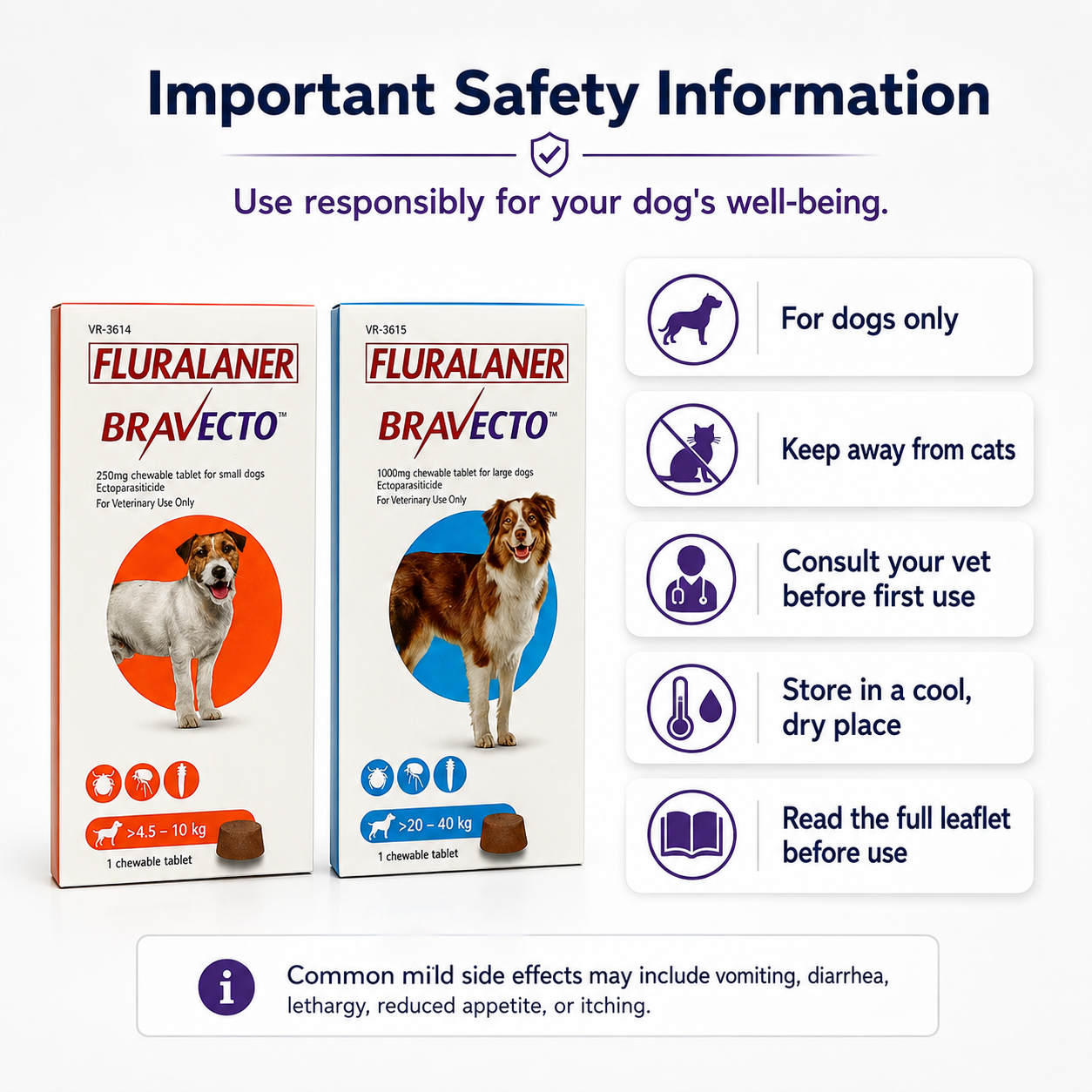 BRAVECTO Chews for Dogs | Kills Fleas & Ticks Fast | Up to 3 Months of Protection - ChatGPT Image 2026年5月19日 14_10_06 (9).png