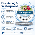 Seresto Vet-Recommended Flea & Tick Treatment & Prevention Collar for Dogs and Cats | 8 Months Protection - ChatGPT Image 2026年5月19日 14_10_58 (3).png