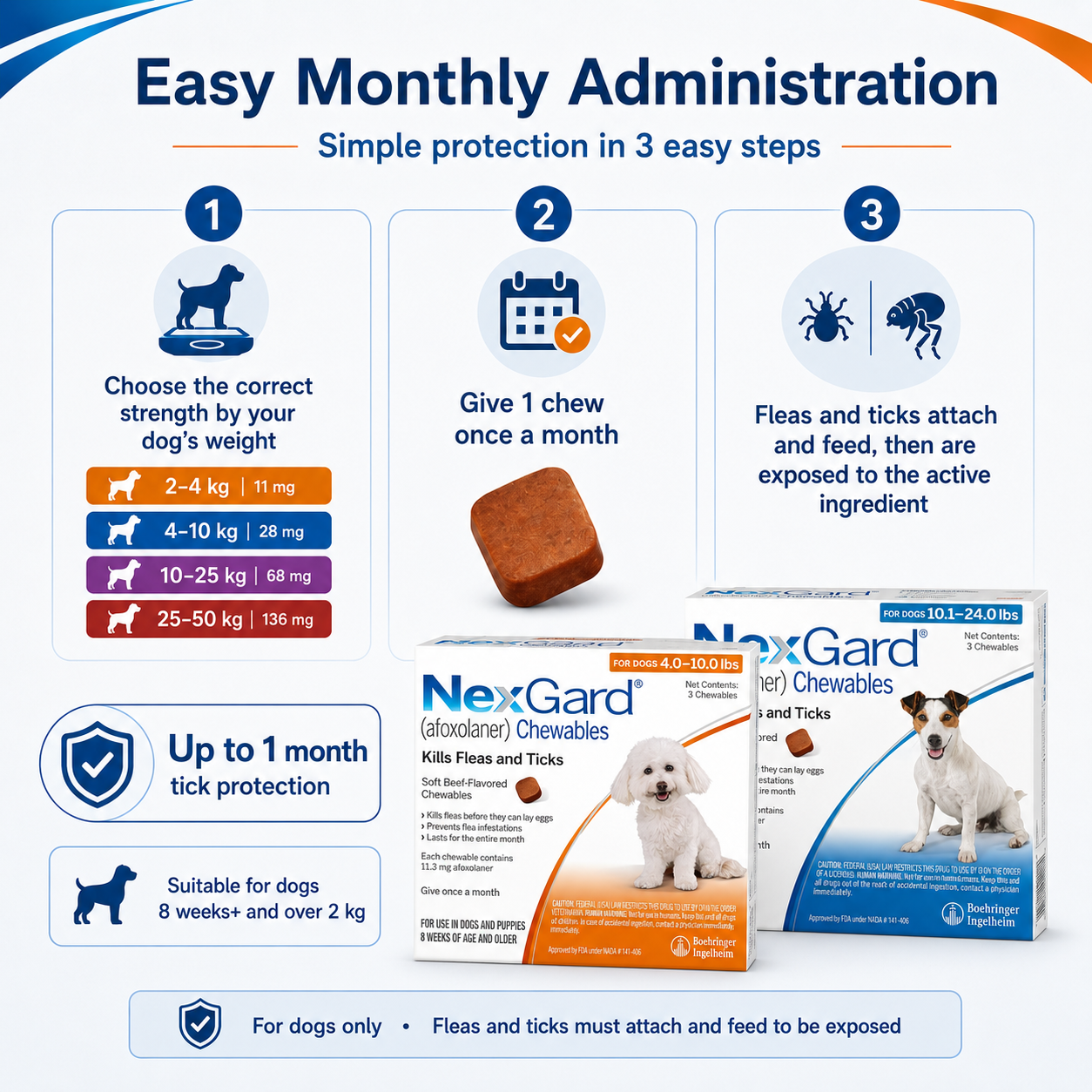 Nexgard Regular for DOGS Anti Tick & Flea With Sticker 1 pcs &3pcs Chewable Tablets - ChatGPT Image 2026年5月19日 14_13_05 (5).png