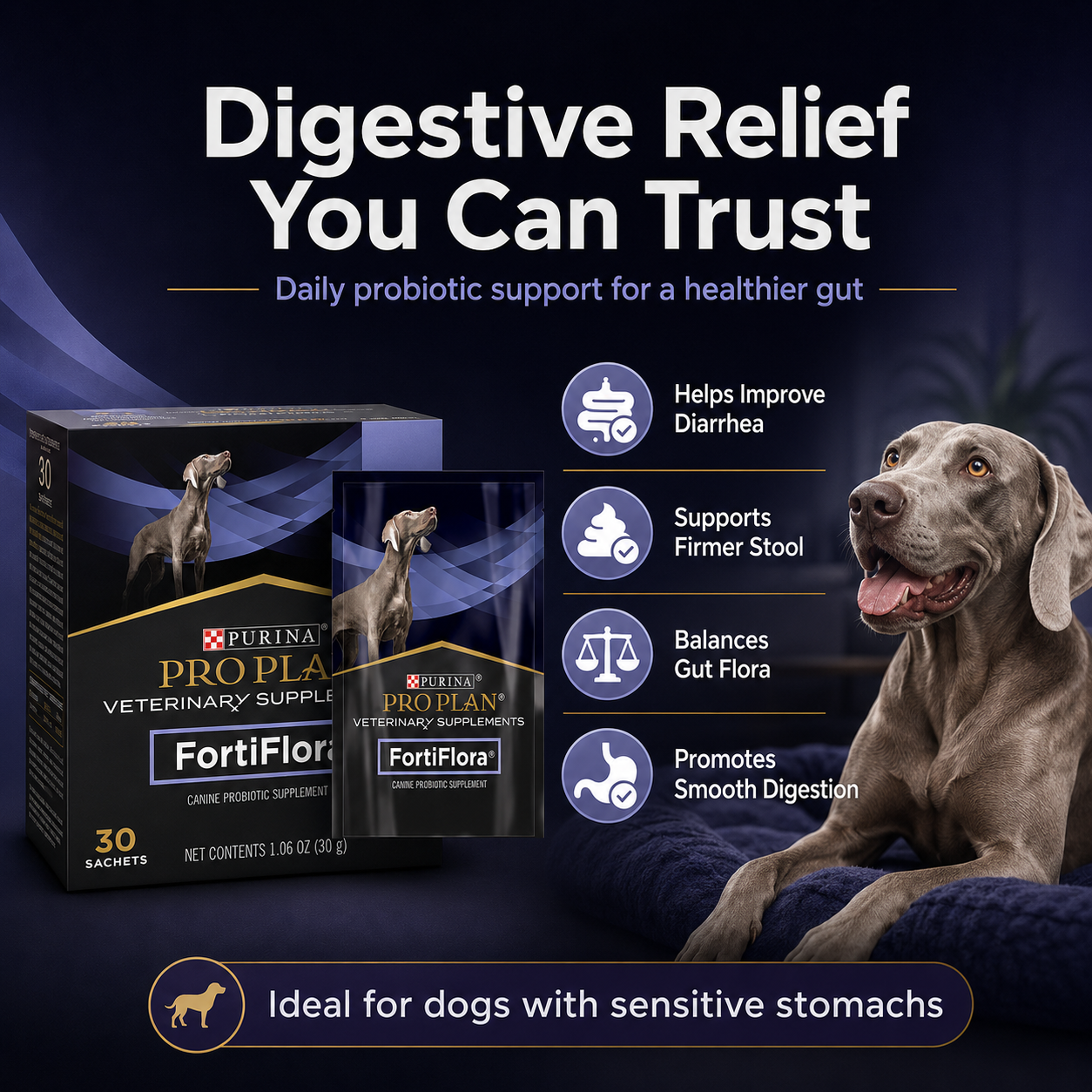 FortiFlora Probiotic For Dog Supplement Powder To Pets Balance The Intestines Reduce Diarrhea 3 Sachets/5 Sachets/30 Sachets - ChatGPT Image 2026年5月19日 14_15_16 (2).png