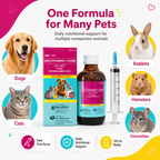 LC-VIT Multivitamins 120ml Free Syringe For Cats and Dogs - ChatGPT Image 2026年5月19日 14_17_47 (2).png