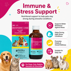LC-VIT Multivitamins 120ml Free Syringe For Cats and Dogs - ChatGPT Image 2026年5月19日 14_17_48 (4).png