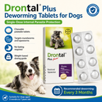 Drontal Plus  Tablet Tasty Dewormer Tablets for Dogs Stickers - ChatGPT Image 2026年5月19日 14_21_46 (1).png