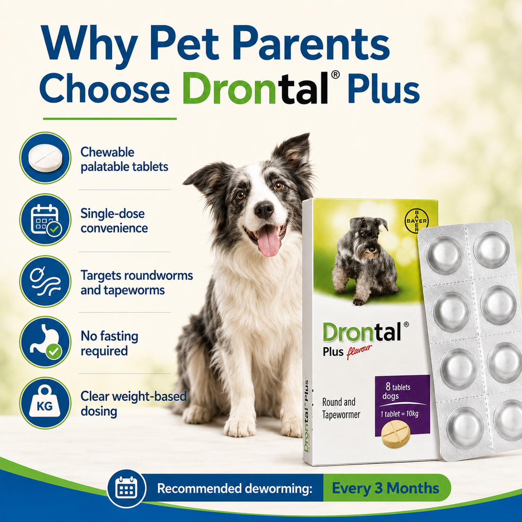 Drontal Plus  Tablet Tasty Dewormer Tablets for Dogs Stickers - ChatGPT Image 2026年5月19日 14_21_46 (2).png