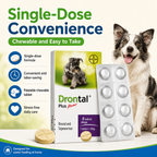 Drontal Plus  Tablet Tasty Dewormer Tablets for Dogs Stickers - ChatGPT Image 2026年5月19日 14_21_46 (6).png