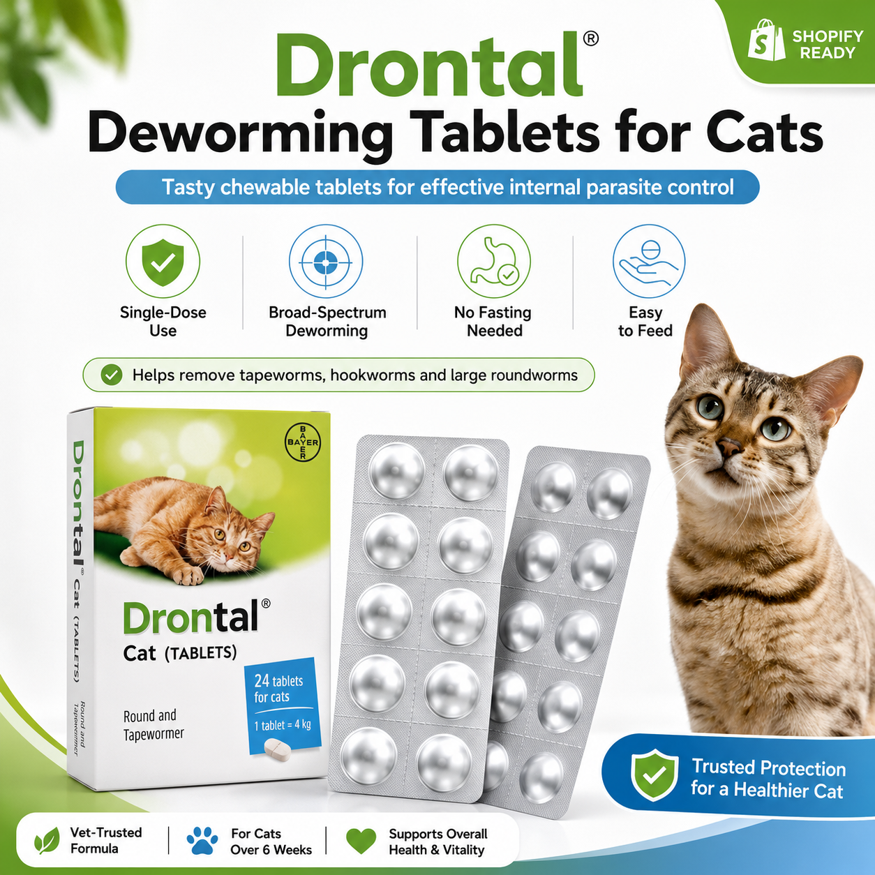 24 Tablets - CWL-B0038.1BOX-CAT