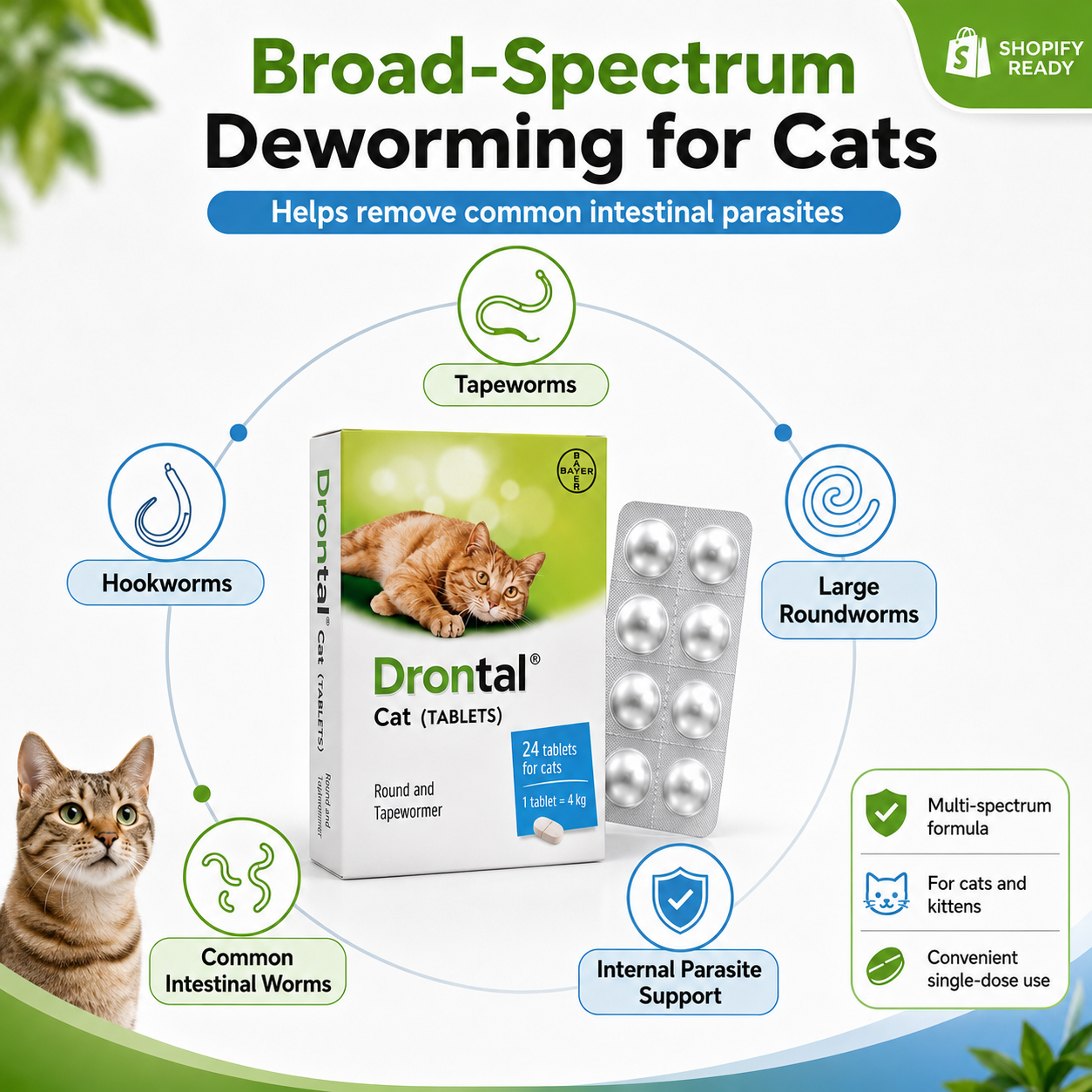 Drontal Cat Dewormer Tablets for Cats Chewable - ChatGPT Image 2026年5月19日 14_22_27 (3).png