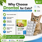 Drontal Cat Dewormer Tablets for Cats Chewable - ChatGPT Image 2026年5月19日 14_22_31 (10).png