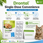 Drontal Cat Dewormer Tablets for Cats Chewable - ChatGPT Image 2026年5月19日 14_22_31 (8).png