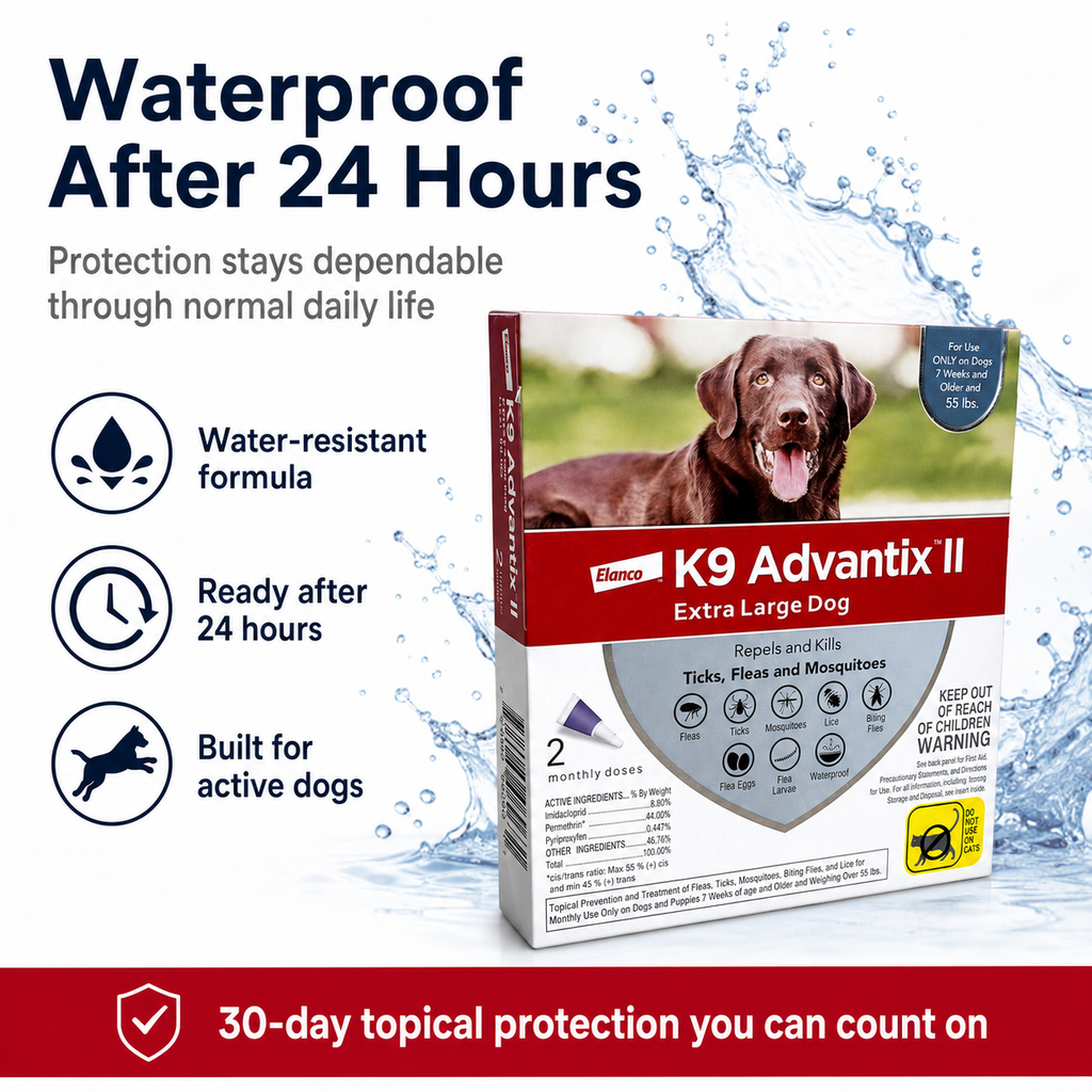 extra-large dog - 2pcs - CWL-K9-03
