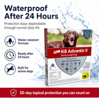extra-large dog - 2pcs - CWL-K9-03