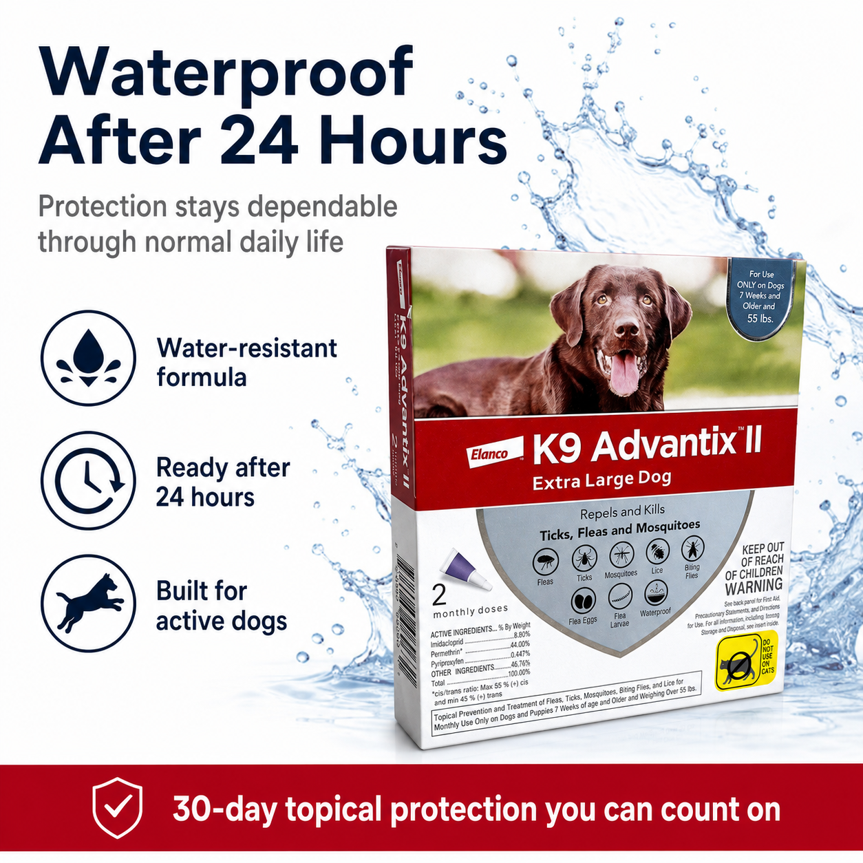 extra-large dog - 2pcs - CWL-K9-03