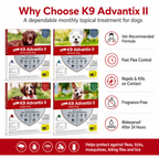 K9 Advantix II Flea Tick & Mosquito Treatment Vet-Recommended Spot Treatment for Dog 2dose/no Box - ChatGPT Image 2026年5月19日 17_07_46 (9).png