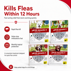 K9 Advantix II Flea Tick & Mosquito Treatment Vet-Recommended Spot Treatment for Dog 2dose/no Box - ChatGPT Image 2026年5月19日 17_26_32 (3).png