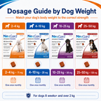 Nexgard Regular for DOGS Anti Tick & Flea With Sticker 1 pcs &3pcs Chewable Tablets - ChatGPT Image 2026年5月19日 21_11_18.png