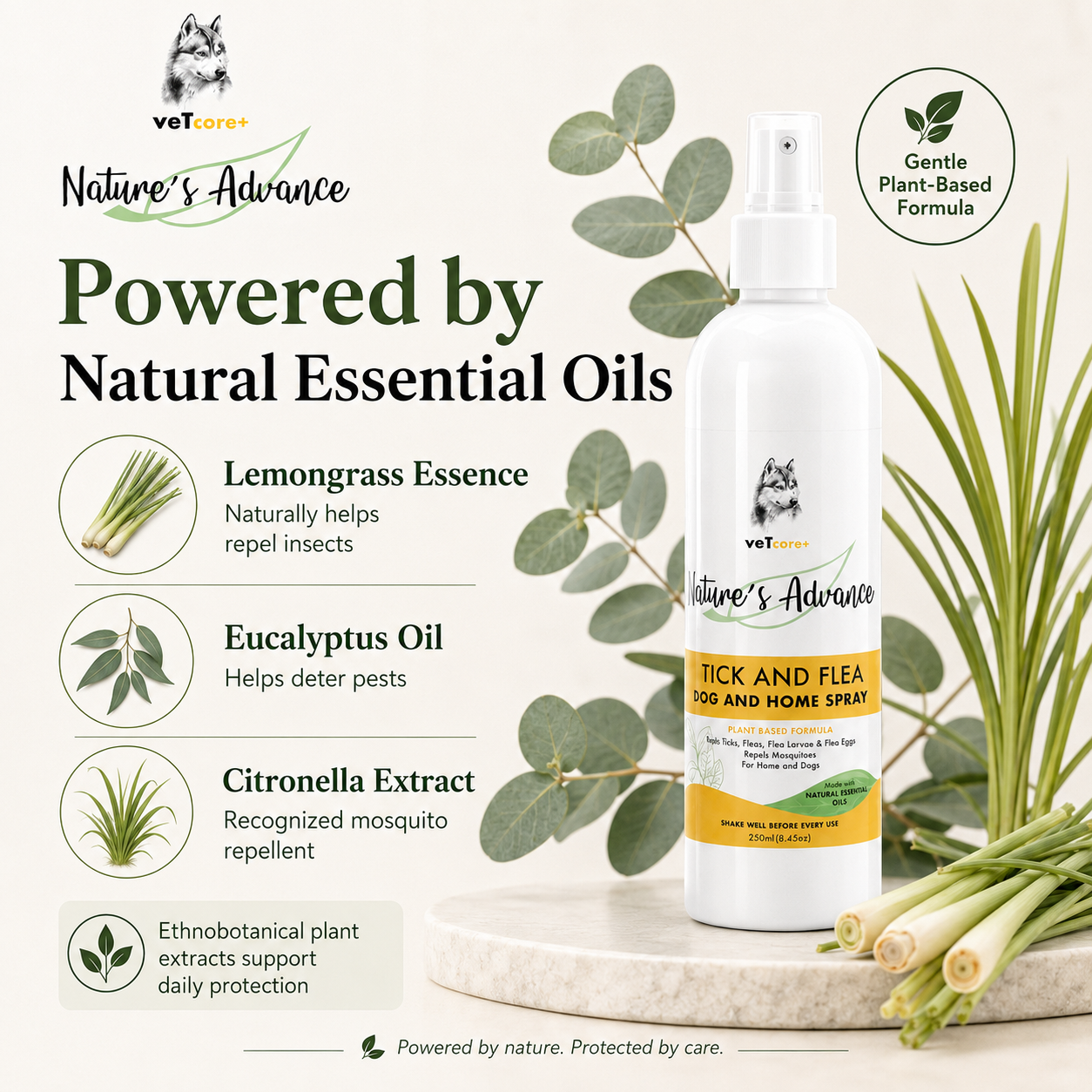 Vet Core Plus Nature's Advance Tick and Flea Spray 250ml for dog and home pet Flea Treatment Dog soap VetCore+ - ChatGPT Image 2026年5月19日 21_17_16 (3).png