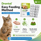 Drontal Cat Dewormer Tablets for Cats Chewable - ChatGPT Image 2026年5月20日 17_29_59.png