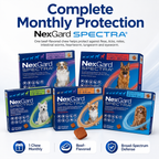 Nexgard Spectra Deworming Chewables Tablet for Dogs Adult Puppy with Sticker Anti Tick Flea MangeTreatment - ChatGPT Image 2026年5月20日 17_56_11 (1).png
