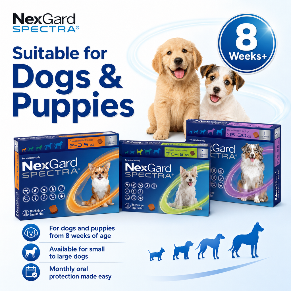 Nexgard Spectra Deworming Chewables Tablet for Dogs Adult Puppy with Sticker Anti Tick Flea MangeTreatment - ChatGPT Image 2026年5月20日 17_56_14 (7).png