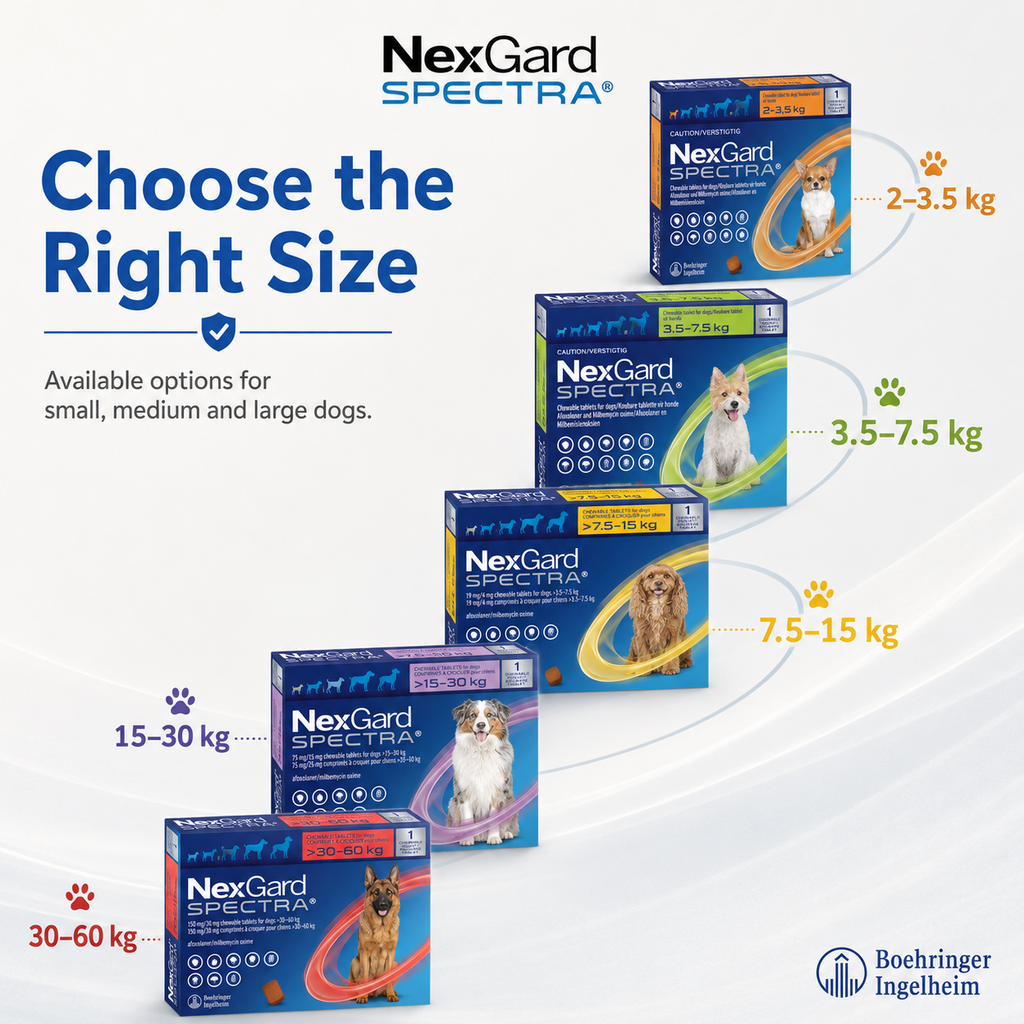 Nexgard Spectra Deworming Chewables Tablet for Dogs Adult Puppy with Sticker Anti Tick Flea MangeTreatment - ChatGPT Image 2026年5月20日 17_56_15 (9).png