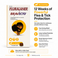 Bravecto Flea & Tick Chew for Dogs - 2-4.5kg, Up to 3 Months