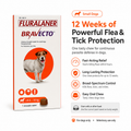 Bravecto Flea & Tick Chew for Dogs - 4.5-10kg, Up to 3 Months