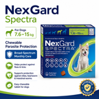 NexGard Spectra Chewables for Dogs - 7.5-15kg, Box of 3 Chews