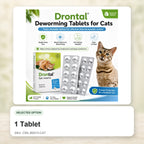 1 Tablet - CWL-B0013-CAT