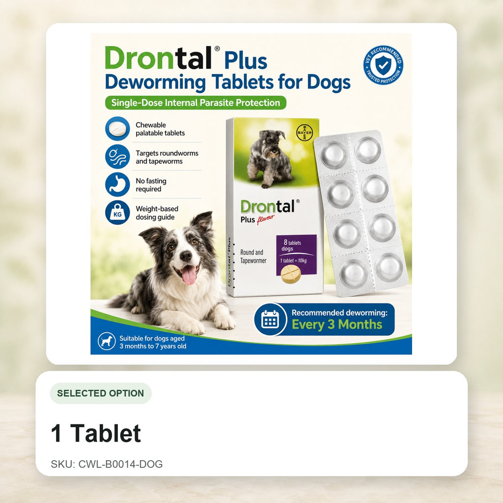 1 Tablet - CWL-B0014-DOG