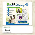 1 Tablet - CWL-B0014-DOG